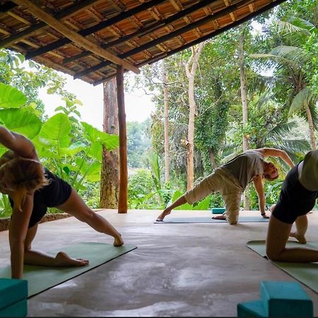 Into The Blue - Yoga Included & Walk To 3 Beaches Tangalle Εξωτερικό φωτογραφία