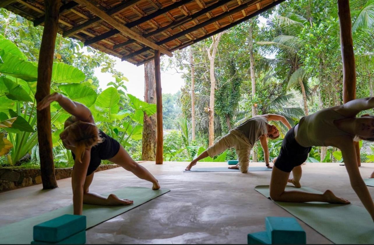 Into The Blue - Yoga Included & Walk To 3 Beaches Tangalle Εξωτερικό φωτογραφία